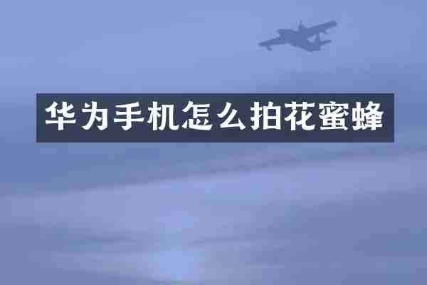 华为手机怎么拍花蜜蜂