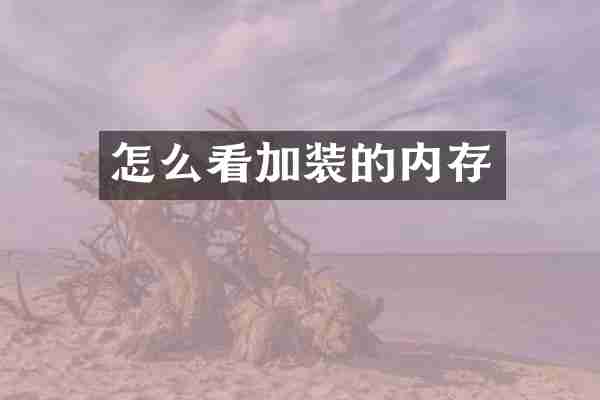 怎么看加装的内存