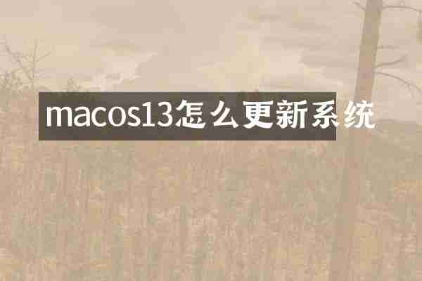 macos13怎么更新系统