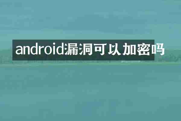 android漏洞可以加密吗