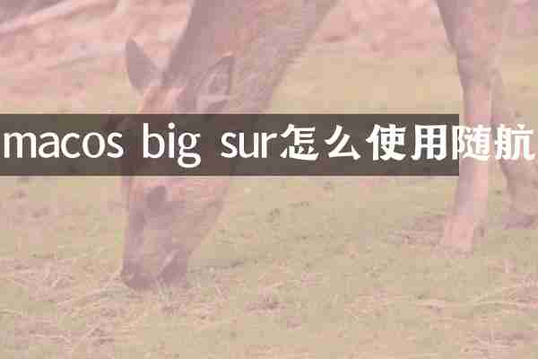 macos big sur怎么使用随航
