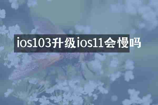 ios103升级ios11会慢吗