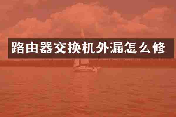 路由器交换机外漏怎么修