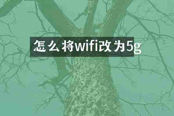 怎么将wifi改为5g