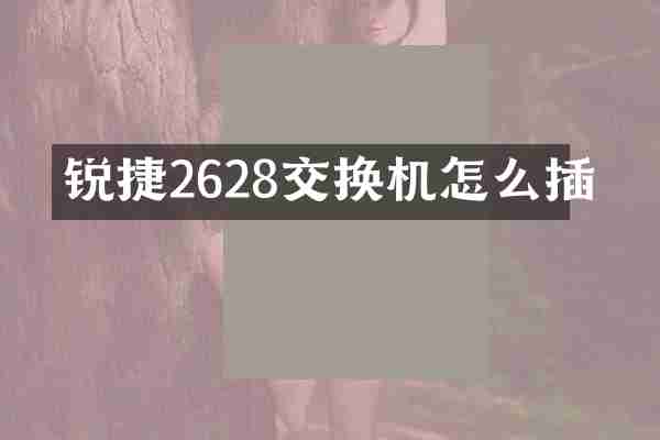 锐捷2628交换机怎么插