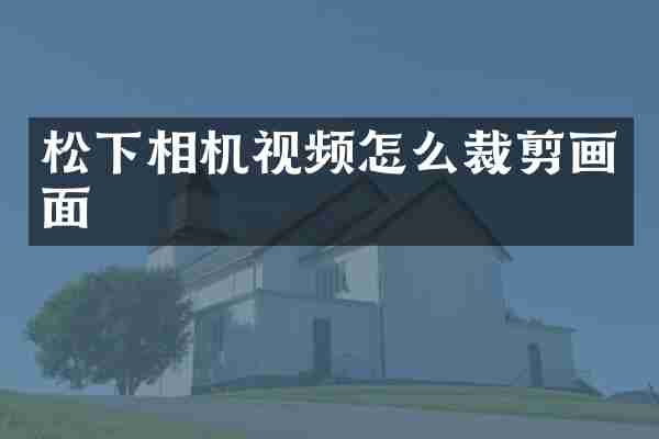 松下相机视频怎么裁剪画面
