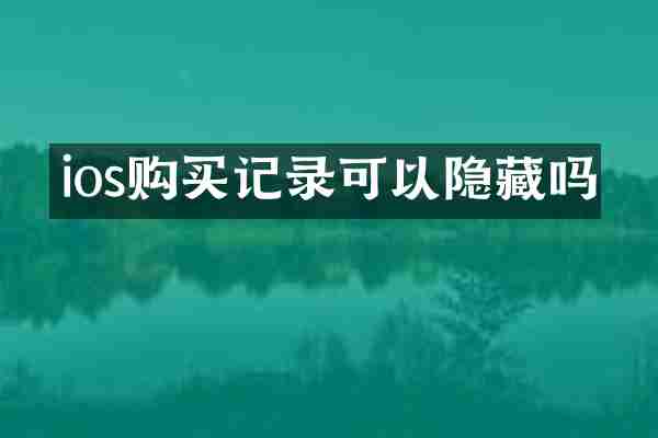 ios购买记录可以隐藏吗