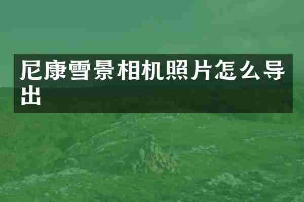 尼康雪景相机照片怎么导出