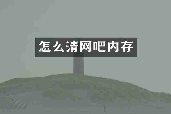 怎么清网吧内存
