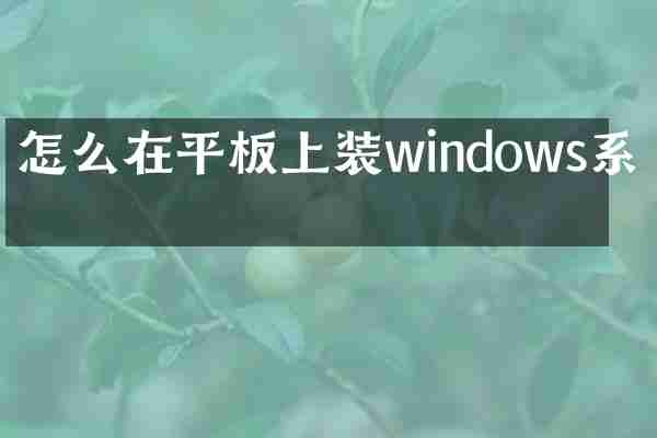 怎么在平板上装windows系统