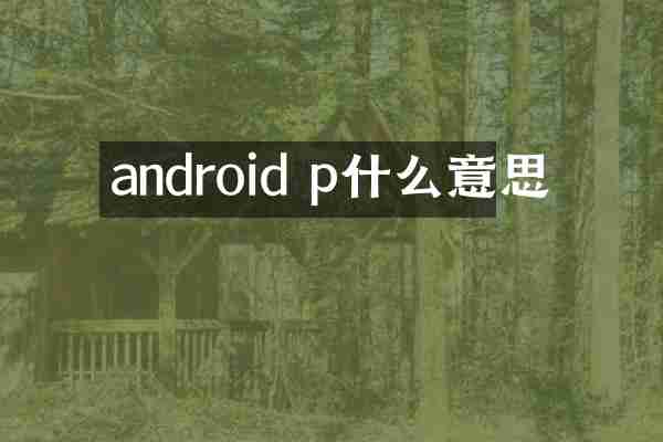 android p什么意思