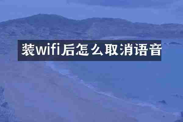 装wifi后怎么取消语音