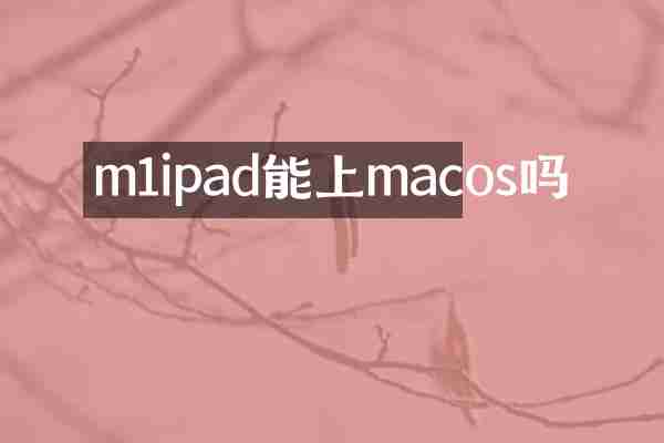 m1ipad能上macos吗