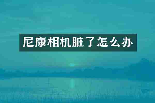 尼康相机脏了怎么办