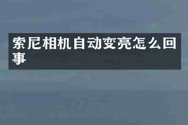 相机自动变亮怎么回事