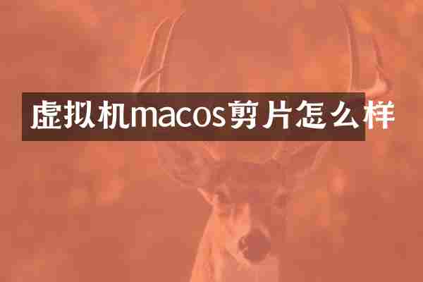 虚拟机macos剪片怎么样