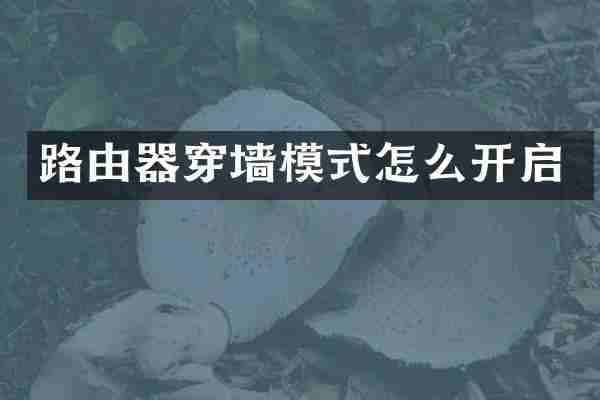 路由器穿墙模式怎么开启