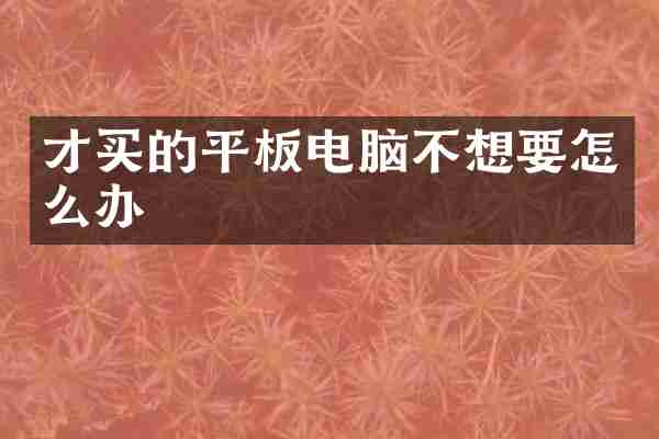 才买的平板电脑不想要怎么办