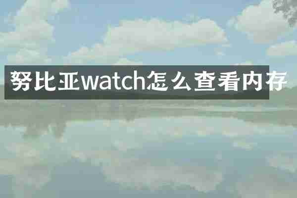 努比亚watch怎么查看内存