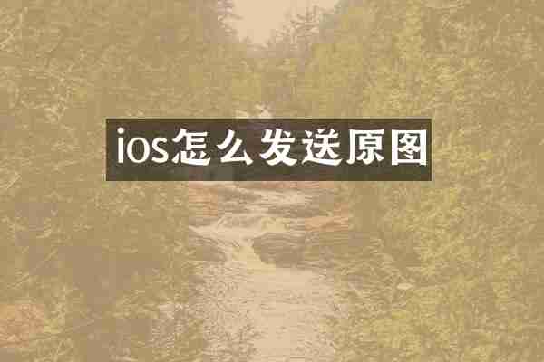 ios怎么发送原图