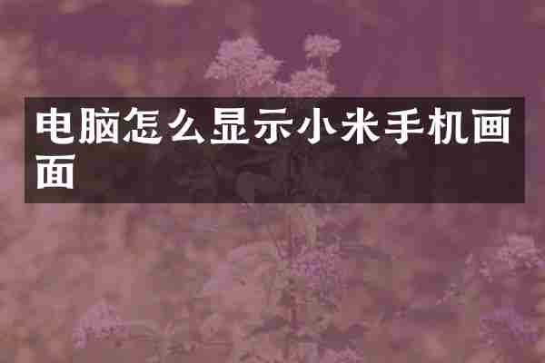 电脑怎么显示小米手机画面