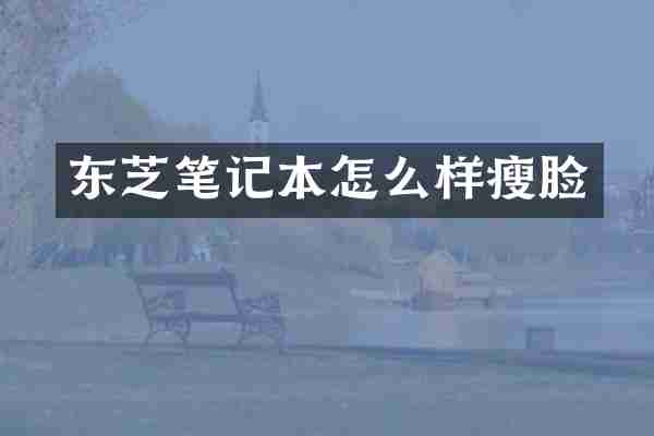 东芝笔记本怎么样瘦脸