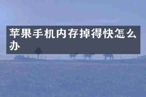 苹果手机内存掉得快怎么办