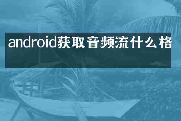 android获取音频流什么格式