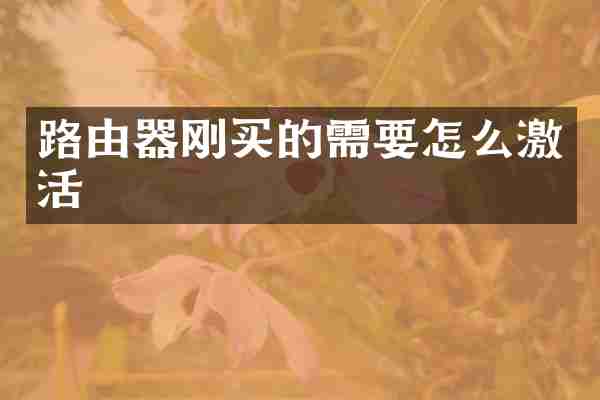 路由器刚买的需要怎么激活