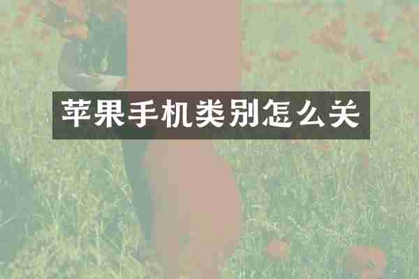 苹果手机类别怎么关