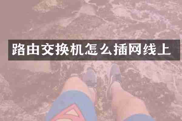 路由交换机怎么插网线上