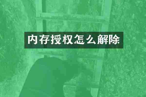 内存授权怎么解除