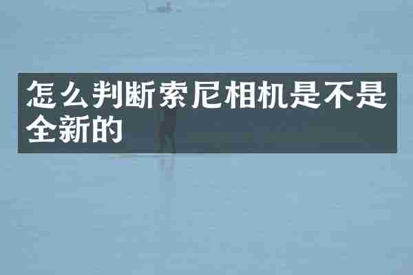 怎么判断相机是不是全新的