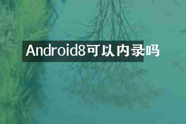 Android8可以内录吗