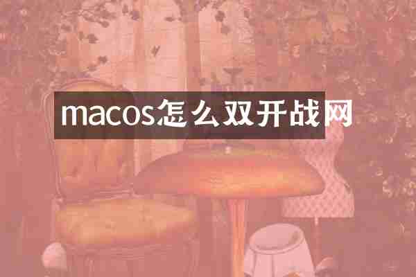 macos怎么双开战网