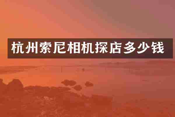 杭州相机探店多少钱