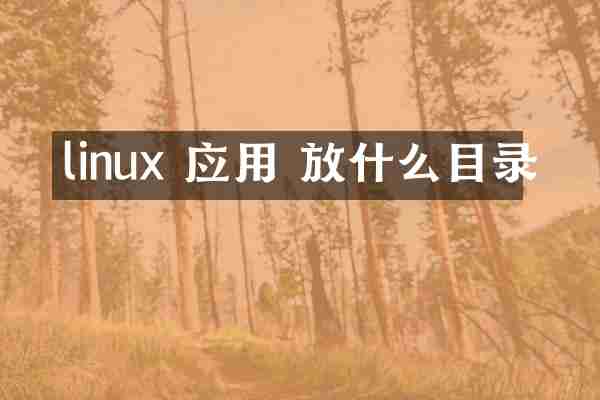 linux 应用 放什么目录
