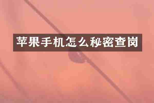苹果手机怎么秘密查岗