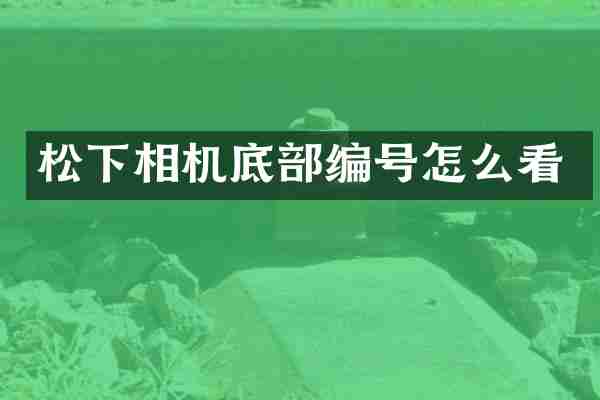 相机底部编号怎么看