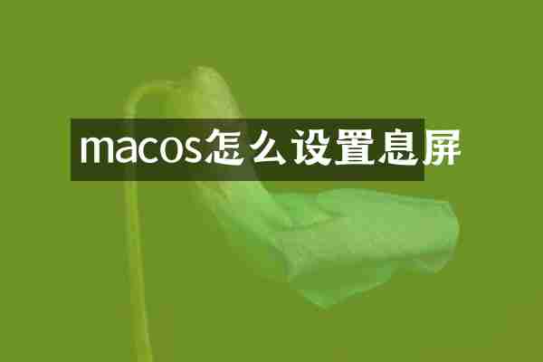 macos怎么设置息屏