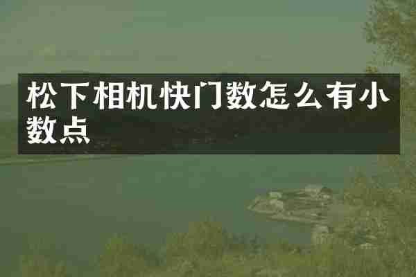 相机快门数怎么有小数点