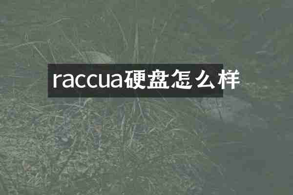 raccua硬盘怎么样
