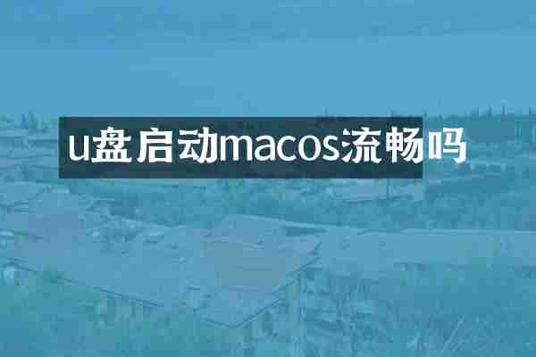 u盘启动macos流畅吗