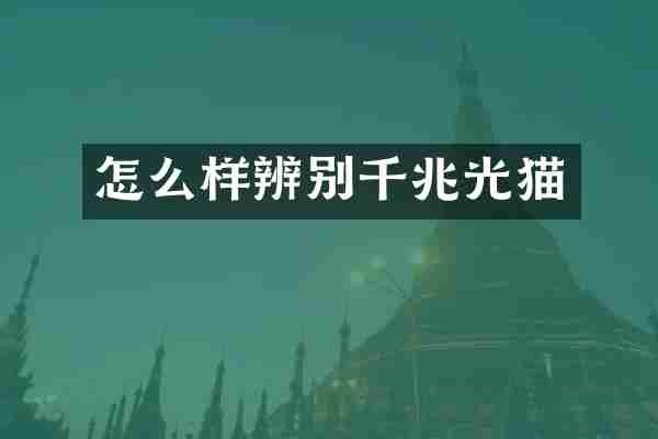 怎么样辨别千兆光猫