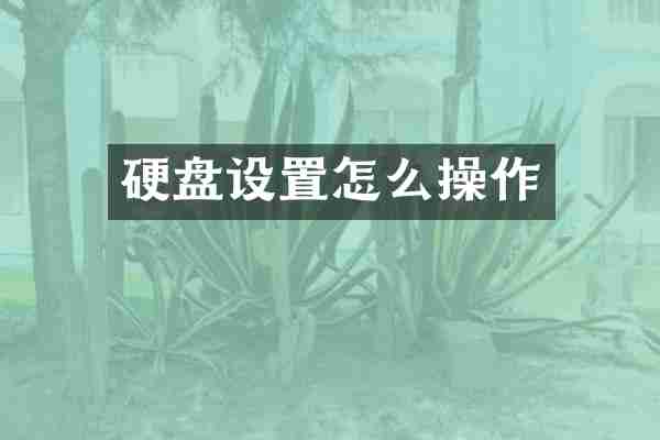 硬盘设置怎么操作