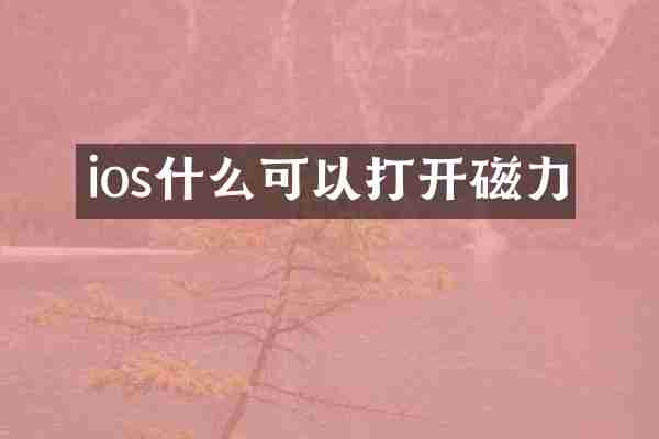 ios什么可以打开磁力