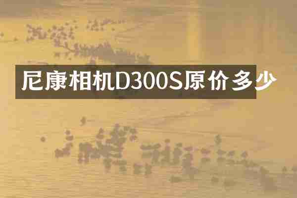 尼康相机D300S原价多少