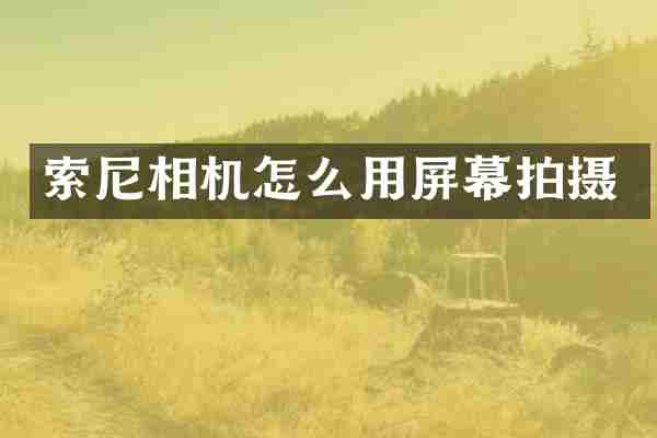 索尼相机怎么用屏幕拍摄