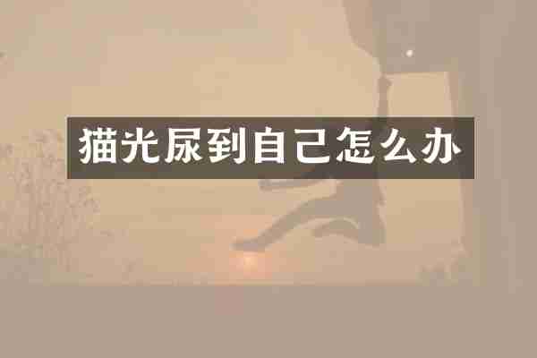 猫光尿到自己怎么办