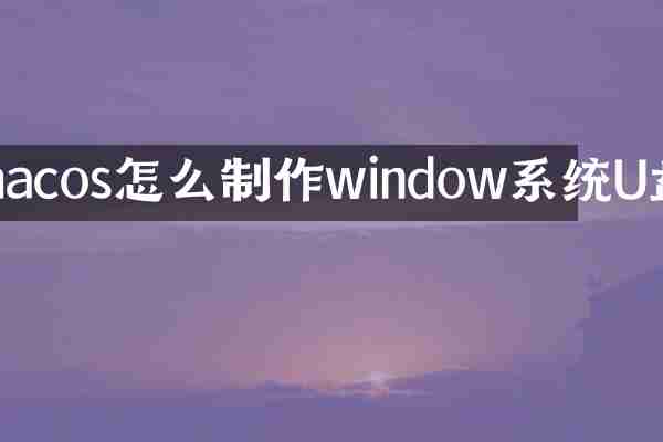 macos怎么制作window系统U盘